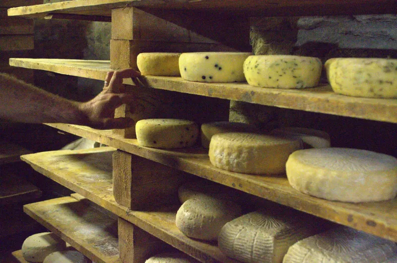 Aged to Perfection: The Surprising Science of Why Handmade Soap Keeps Getting Better