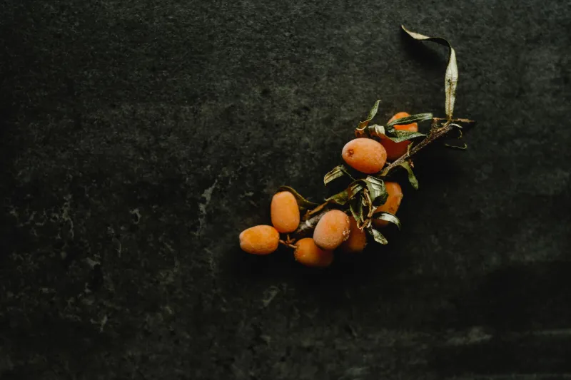Sea Buckthorn Oil: The Bright Orange Powerhouse Your Skin Is Missing